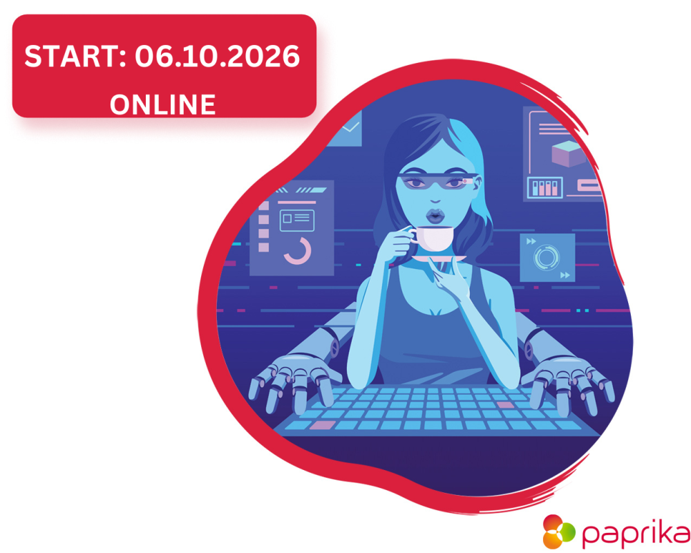 Digistrateeg